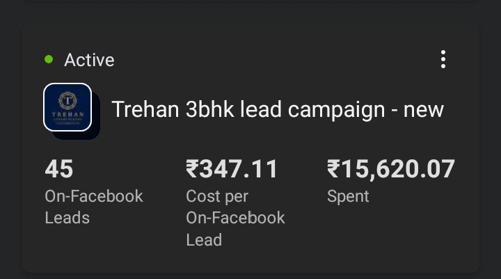 Meta Ads Result